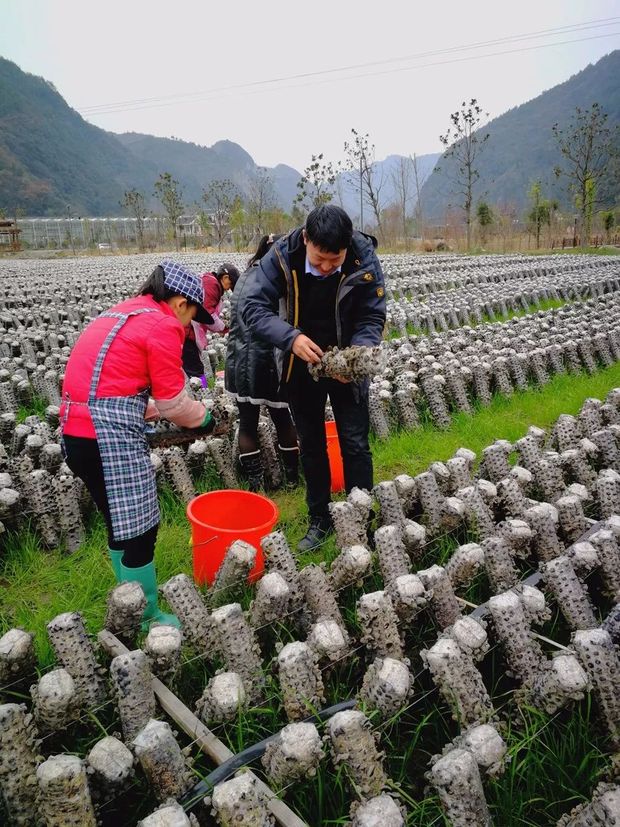 �ē��U�Ȟĵ����ʷ�ؚ��40�����D�f�������؟��