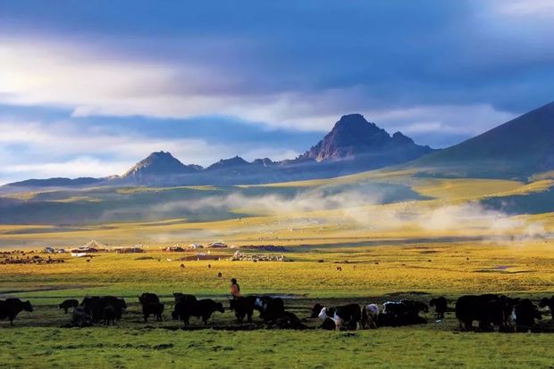 �ē��U�Ȟĵ����ʷ�ؚ��40�꣬�D�f�������؟��