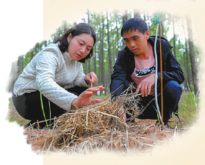 �qĩ���̽Óؚ(�����۴��AÓؚ���ԑ�(zh��n))