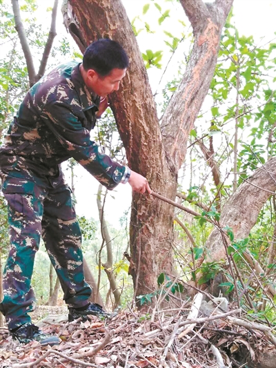 ���´��߻��ӡ����������o�Ї������ֈ�