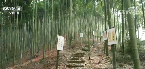 �´��߻��� Ī��ɽ���l(xi��ng)�����d���ӡ��ش峱��