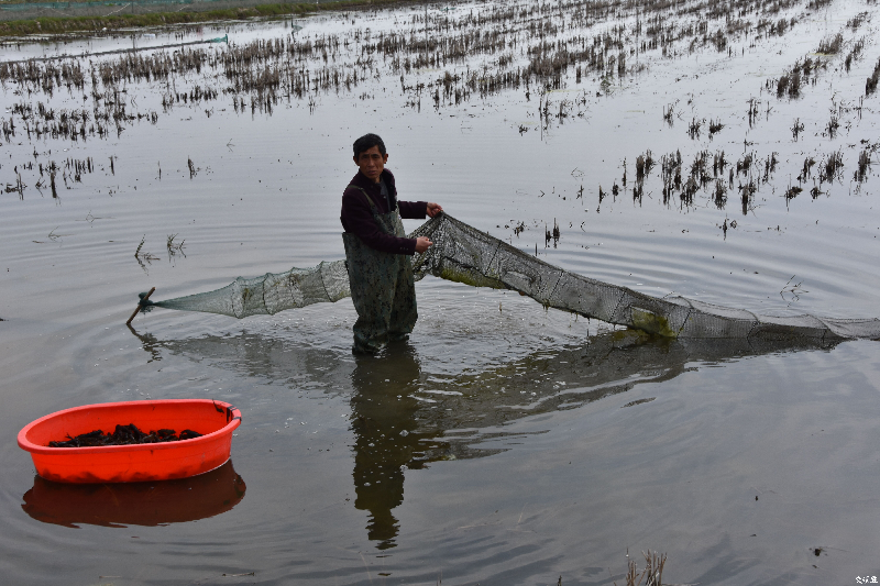 ���´��߻��ӡ���ˮ��+���r����׌�@��Ĵ�������������