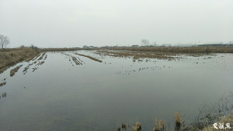 ���´��߻��ӡ���ˮ��+���r����׌�@��Ĵ�������������