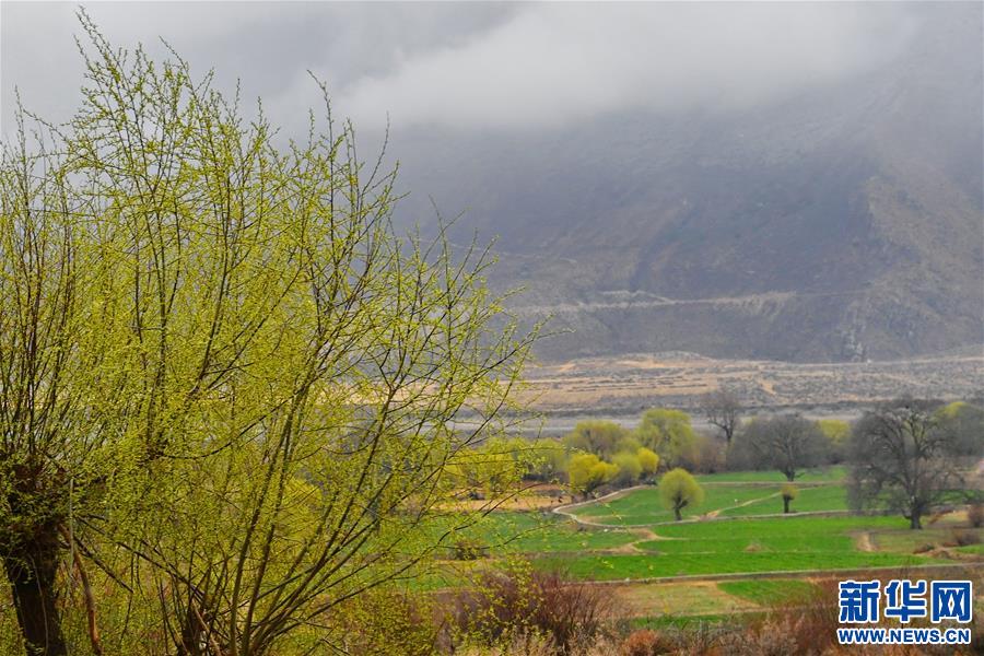 ���D�Ļ���(d��ng)����2�����������������(m��ng)���(m��ng)���ǘ��𡱡����������ذ��f�r(n��ng)ū���61����֮�H