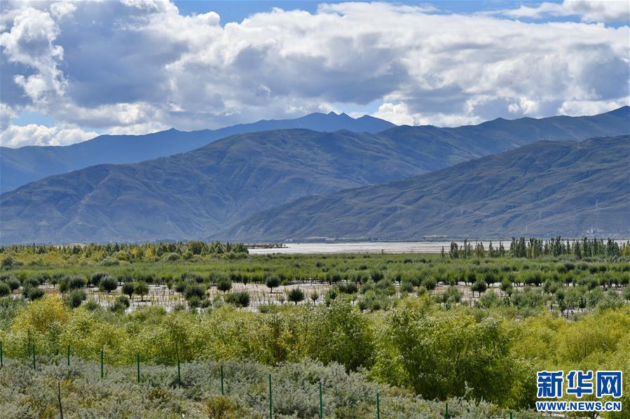 ���D�Ļ���(d��ng)����4��������������������(m��ng)���(m��ng)���ǘ��𡱡����������ذ��f�r(n��ng)ū���61����֮�H