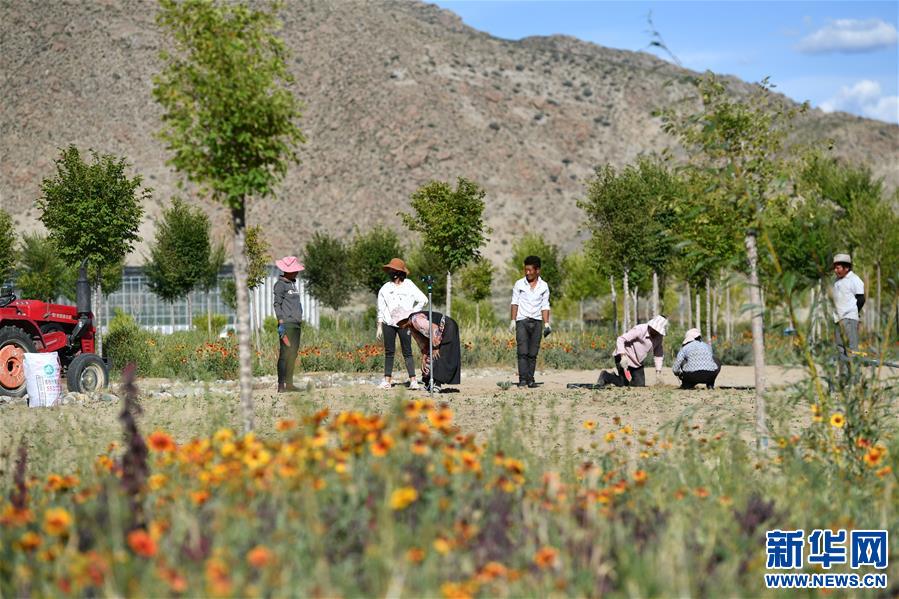 ���D�Ļ���(d��ng)����5��������������������(m��ng)���(m��ng)���ǘ��𡱡����������ذ��f�r(n��ng)ū���61����֮�H