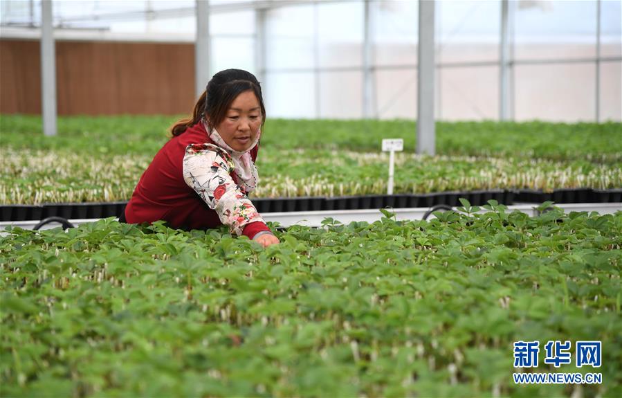 �����Aȫý�^�l���D�Ļ���(d��ng)����1�����Ա����ĿƼ���ؚ���