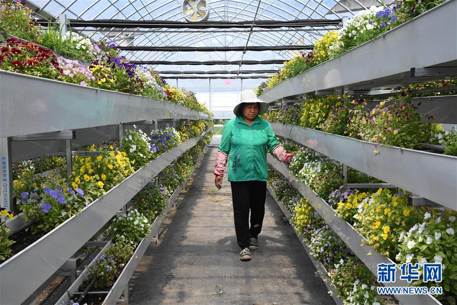 �����Aȫý�^�l���D�Ļ���(d��ng)����2�����Ա����ĿƼ���ؚ���