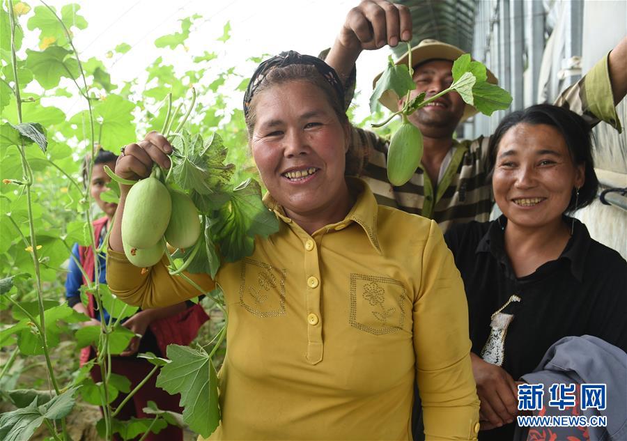 �����Aȫý�^�l���D�Ļ���(d��ng)����5�����Ա����ĿƼ���ؚ���