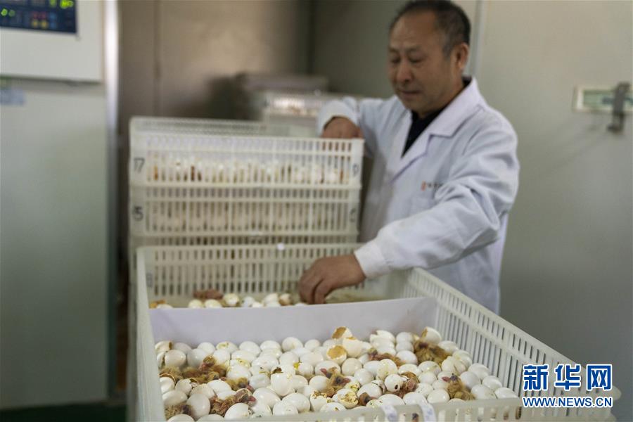 �����Aȫý�^�l���D�Ļ���(d��ng)����6�����Ա����ĿƼ���ؚ���