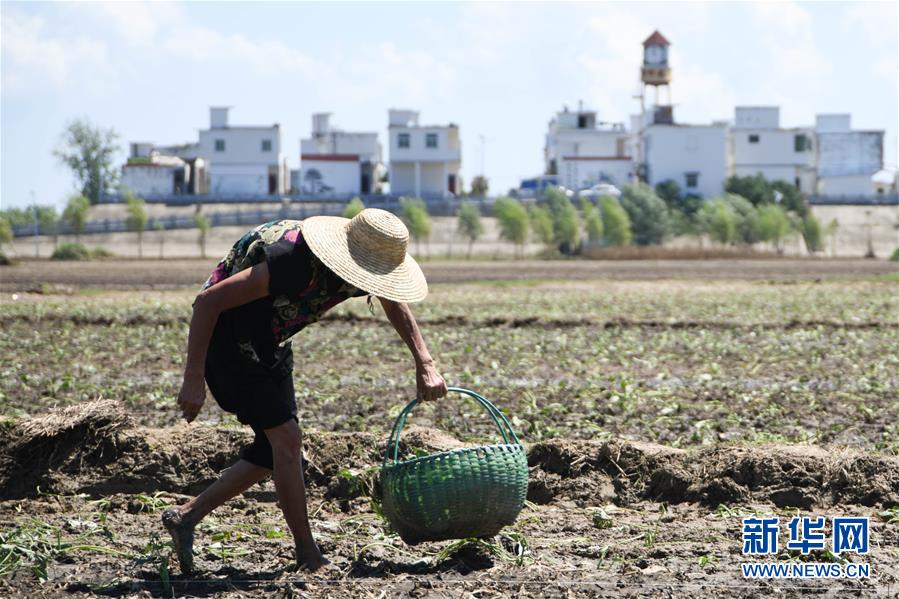 ������(x��)��ƽ�r(sh��)���Ї���ɫ���(hu��)���x˼��ָ���¡����r(sh��)����������ƪ�¡���(x��)��ƽ����ӛ�P(gu��n)���¡��D�Ļ���(d��ng)����1��һ�О������񡪡�����ȫ����Ѵ�Ȟ�(z��i)ȡ���A�����ش����֮�r(sh��)