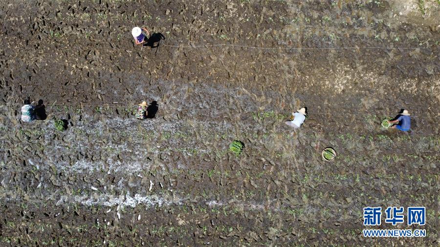 ������(x��)��ƽ�r(sh��)���Ї���ɫ���(hu��)���x˼��ָ���¡����r(sh��)����������ƪ�¡���(x��)��ƽ����ӛ�P(gu��n)���¡��D�Ļ���(d��ng)����8��һ�О������񡪡�����ȫ����Ѵ�Ȟ�(z��i)ȡ���A�����ش����֮�r(sh��)