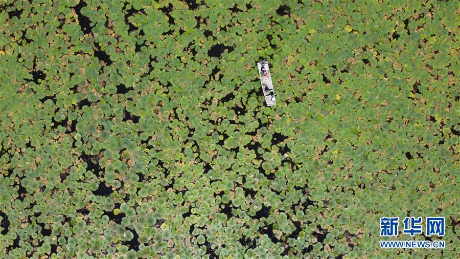 ������(x��)��ƽ�r(sh��)���Ї���ɫ���(hu��)���x˼��ָ���¡����r(sh��)����������ƪ�¡���(x��)��ƽ����ӛ�P(gu��n)���¡��D�Ļ���(d��ng)����12��һ�О������񡪡�����ȫ����Ѵ�Ȟ�(z��i)ȡ���A�����ش����֮�r(sh��)