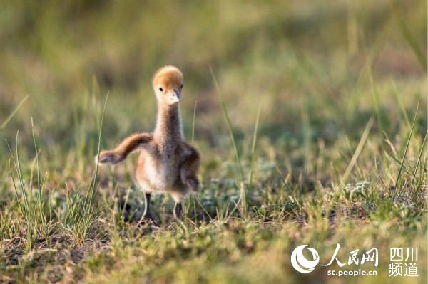 �����ڻ����Q����С�Q����� �z