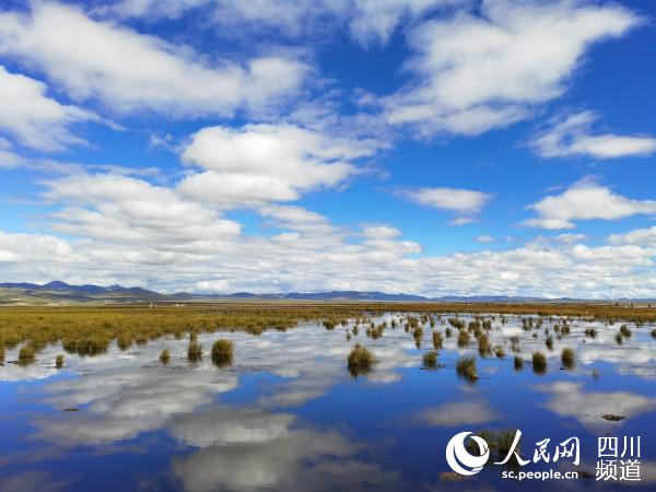 ��Ԋ�箋�Ļ��������� �z