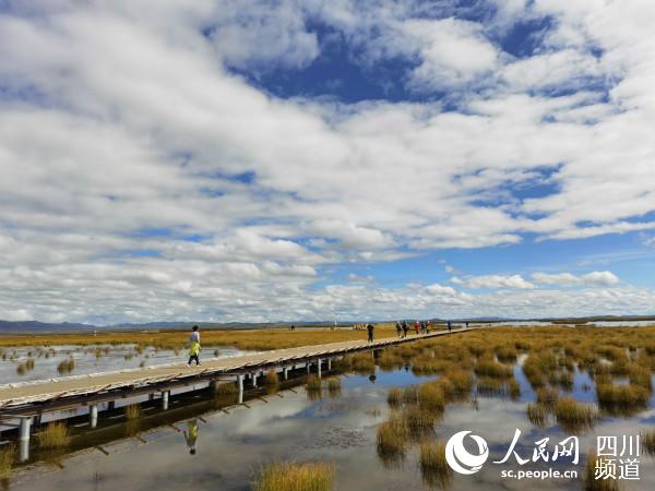 �L�L�ė�����������ġ����� �z