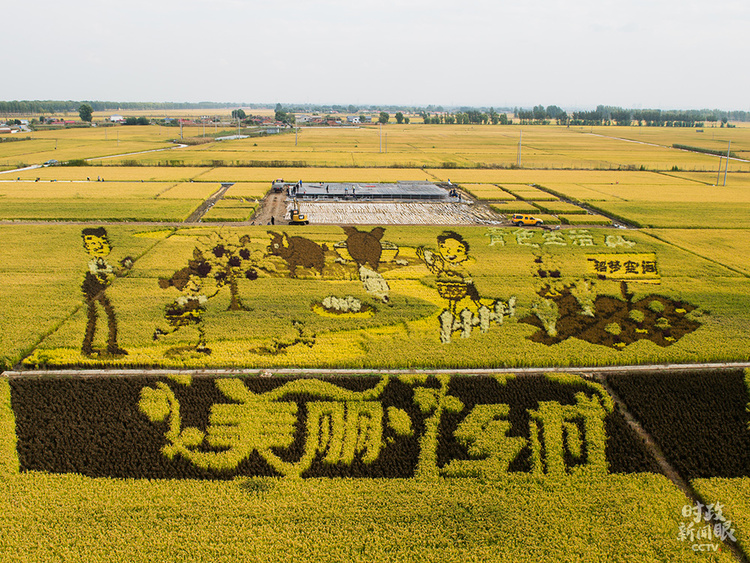 �r(sh��)������ح���߈�(ch��ng)��Մ��(hu��)����(x��)��ƽ��ξ۽��@�Ă�(g��)�I(l��ng)��