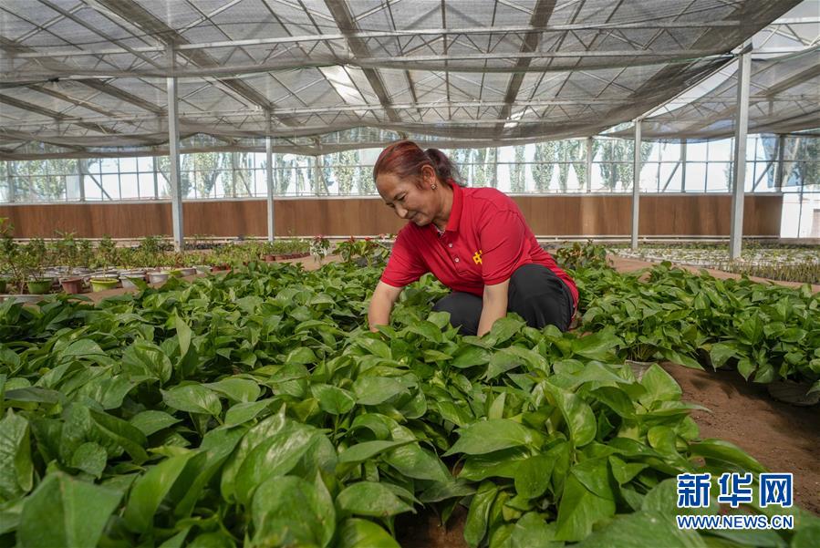 �����Aȫý�^�l���D�Ļ���(d��ng)����11��������ɽ�ϱ����V���l(f��)չ��ƪ��������(x��)��ƽͬ־����ĵ��h�����P(gu��n)���½������o(j��)��(sh��)