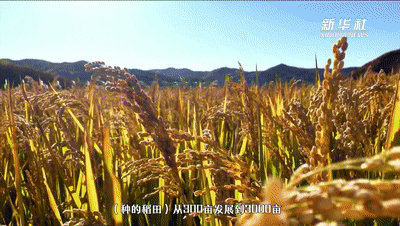 ��ʮ���塱������