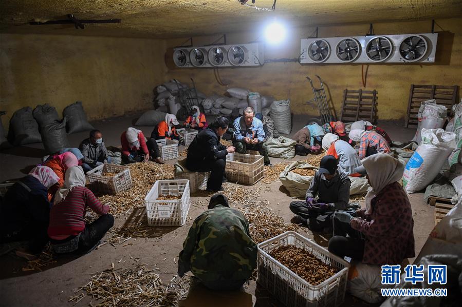 ������ƽ��С�����¡��D�Ļ��ӣ���8�����Һ����ε�һ����������׌�l(xi��ng)�H���һ�D�⡱��������ƽ��Óؚ���ԵĹ���