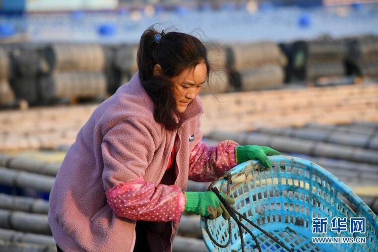 �����\(y��n)ĸ�H�����ԸЄ�(d��ng)�|�f(w��n)��(gu��)��