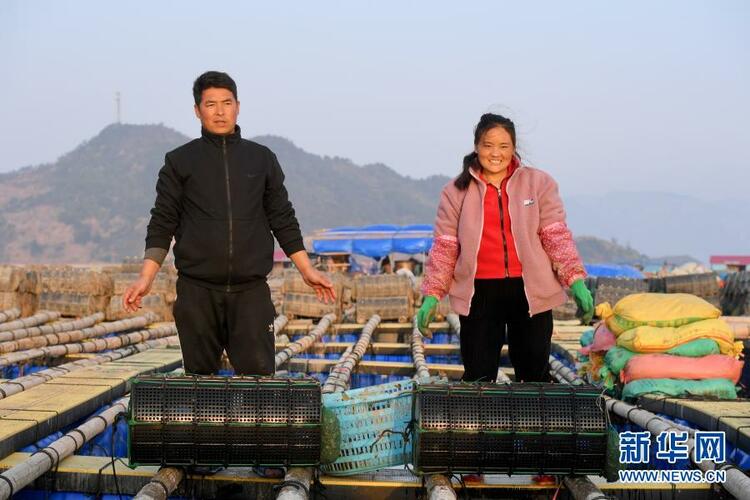 �����\(y��n)ĸ�H�����ԸЄ�(d��ng)�|�f(w��n)��(gu��)��