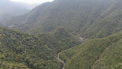 �r(sh��)������ح��(x��)��ƽ̤�L����ɽ������P(gu��n)ע�@Щ���@��֮�@��