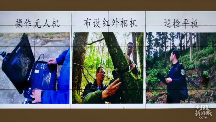 �r(sh��)������ح��(x��)��ƽ̤�L����ɽ������P(gu��n)ע�@Щ���@��֮�@��