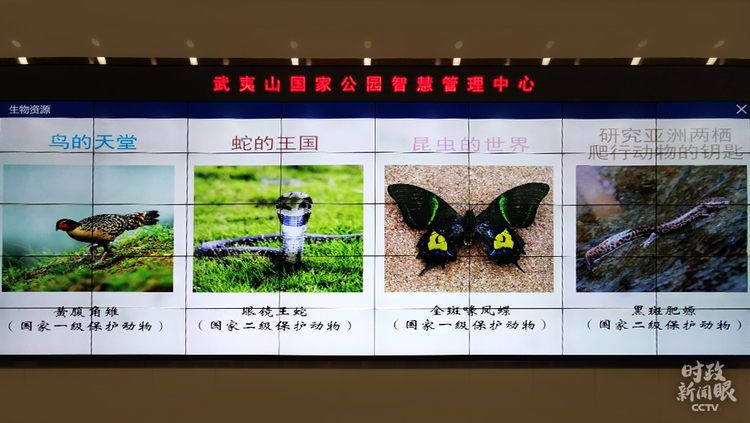 �r(sh��)������ح��(x��)��ƽ̤�L����ɽ������P(gu��n)ע�@Щ���@��֮�@��