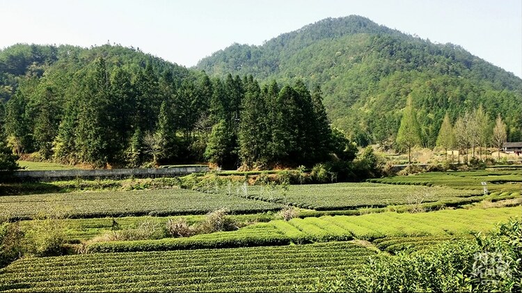 �r(sh��)������ح��(x��)��ƽ̤�L����ɽ������P(gu��n)ע�@Щ���@��֮�@��