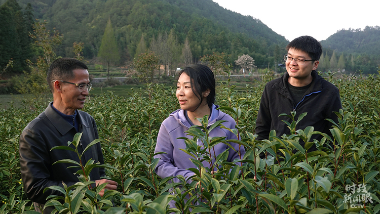 �r(sh��)������ح��(x��)��ƽ̤�L����ɽ������P(gu��n)ע�@Щ���@��֮�@��