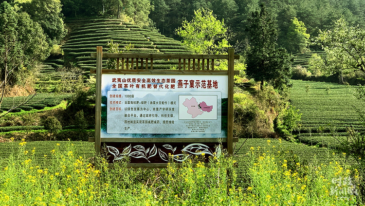 �r(sh��)������ح��(x��)��ƽ̤�L����ɽ������P(gu��n)ע�@Щ���@��֮�@��