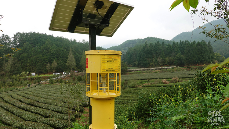 �r(sh��)������ح��(x��)��ƽ̤�L����ɽ������P(gu��n)ע�@Щ���@��֮�@��