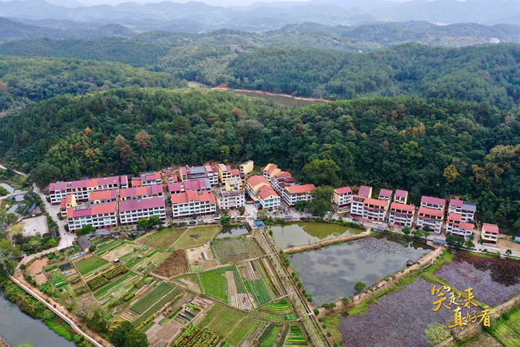 Ц������ÿ�ح20����ǰ������������ƽ����������ؚ������ؚ��