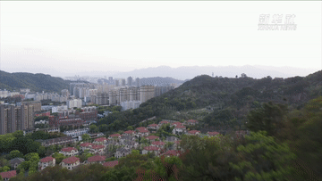 ���Aȫý+���頿���}ɽˮ�g