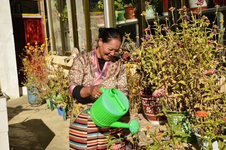 �Ї�(gu��)�����ء�  ѩ���ԭ���M�۾G�� �l(xi��ng)���������뮋��(l��i)��