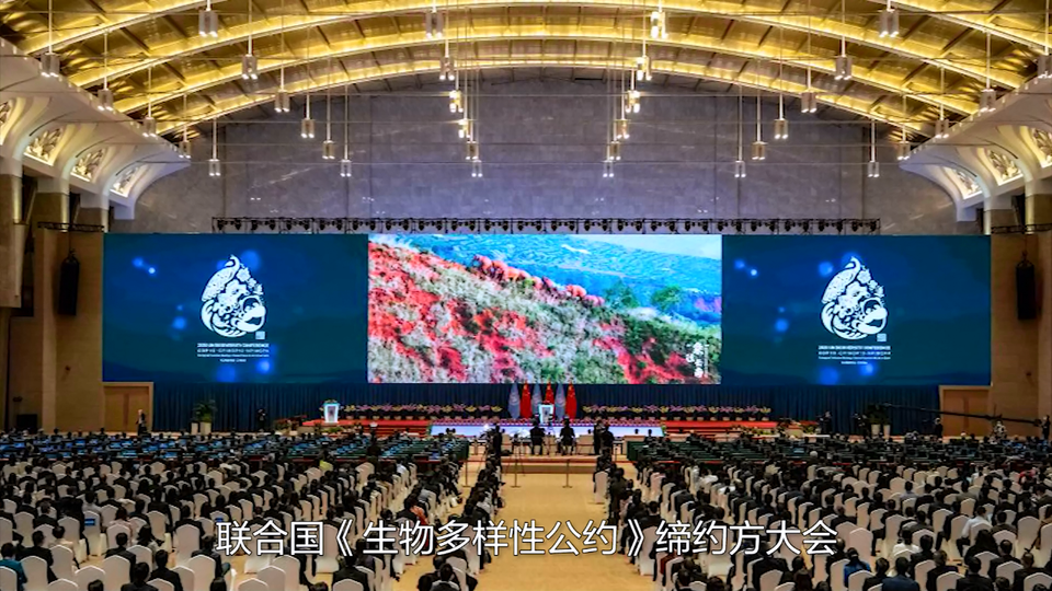 �����H3��犡��������r�̡��_�� �����cٝ�Ї��@�������_fororder_΢�Ž؈D_20211013190230