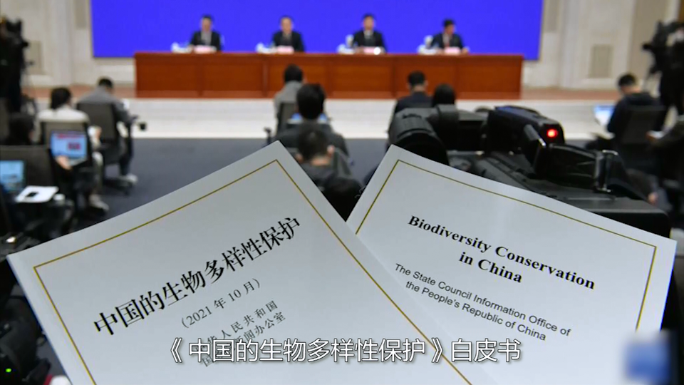 �����H3��犡��������r�̡��_�� �����cٝ�Ї��@�������_fororder_΢�Ž؈D_20211013190241