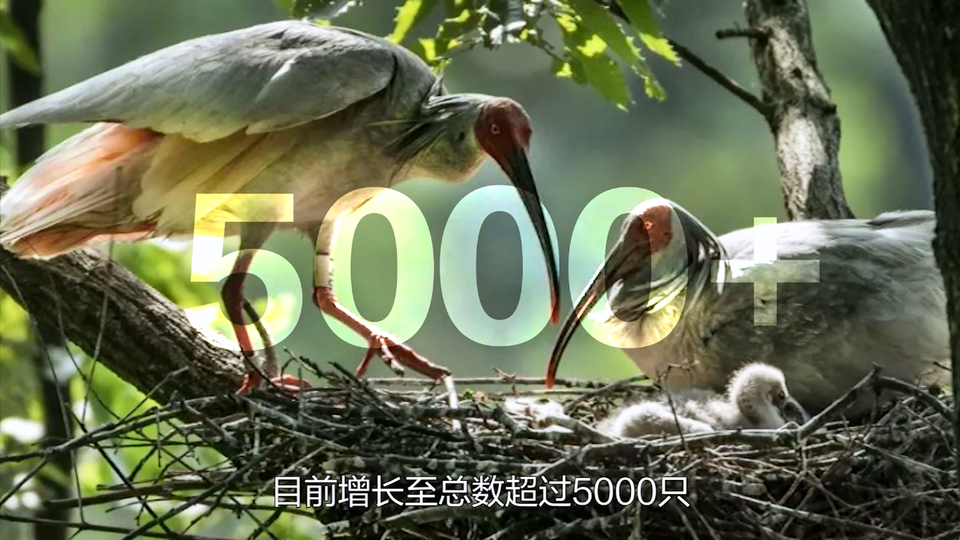 �����H3��犡��������r�̡��_�� �����cٝ�Ї��@�������_fororder_΢�Ž؈D_20211013190309