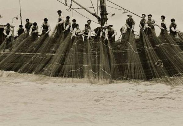 ��W(w��ng)̖��