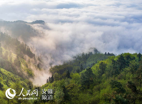 ���·�������(sh��)�`������ƪ�����ǣ����Gɫ���桱����l(f��)չ��(d��ng)��