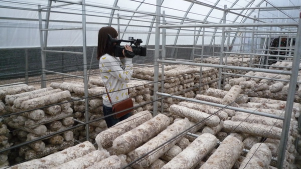 ���W(w��ng)�j(lu��)ý�w���D(zhu��n)�ġ��@��������ƽ�h�����®�