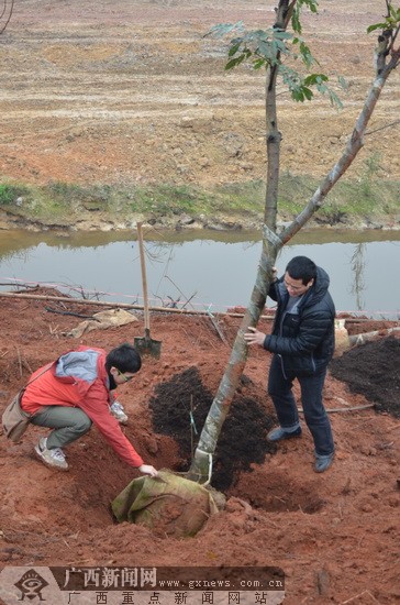 �V���ɲ�Ⱥ��ֲ��(sh��)��(ji��)�R�R�N��(sh��)