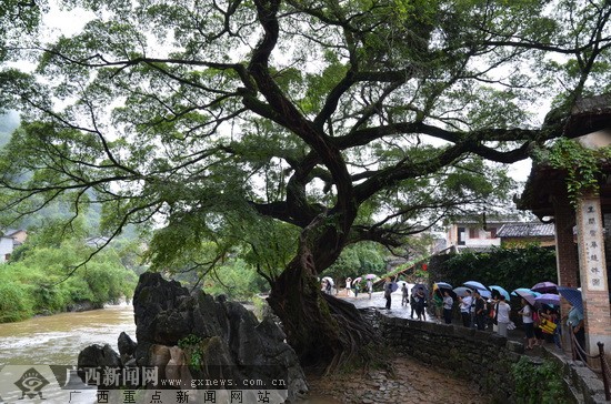 ���조�����҈@�� ��ƽ�h�����B(t��i)����֮·