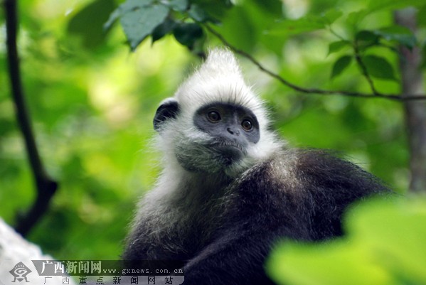 �V��������^�~����Ȼ���o(h��)�^(q��)