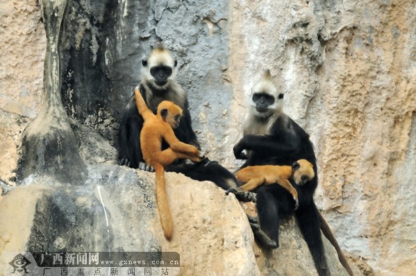 �V��������^�~����Ȼ���o(h��)�^(q��)