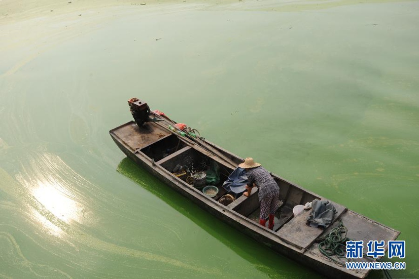 7��20���������Ǻ��볲�������O���С���������Ⱦ��(y��n)�ص�ˮ���ϡ�