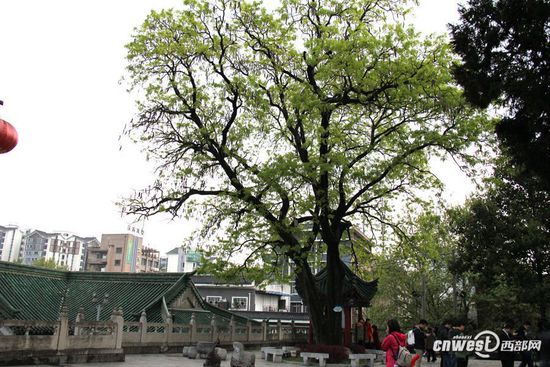 �ŝh�_�����^��(n��i)��400��vʷ�����ǘ䡣