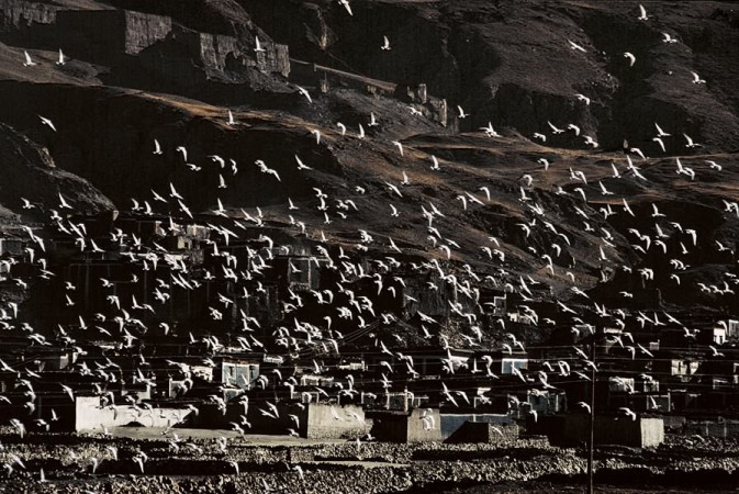 ��������1985��