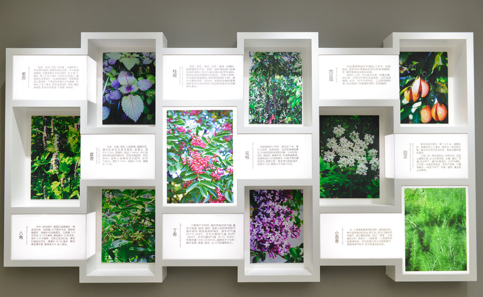 �{(di��o)ζƷ�����^